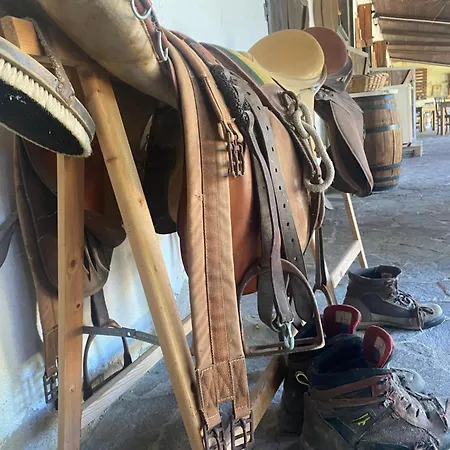 La Vecchia Scuderia Di Catrin E Carol Värdshus *