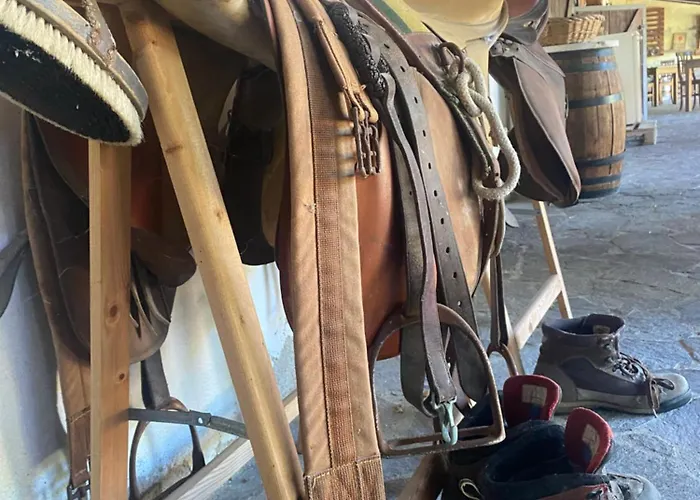 La Vecchia Scuderia Di Catrin E Carol Värdshus *