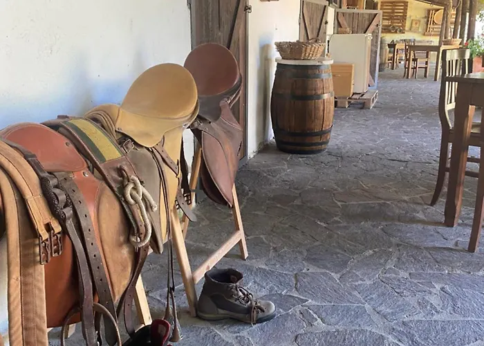 La Vecchia Scuderia Di Catrin E Carol *